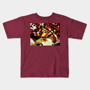 Wings Like Cathedral Windows Kids T-Shirt